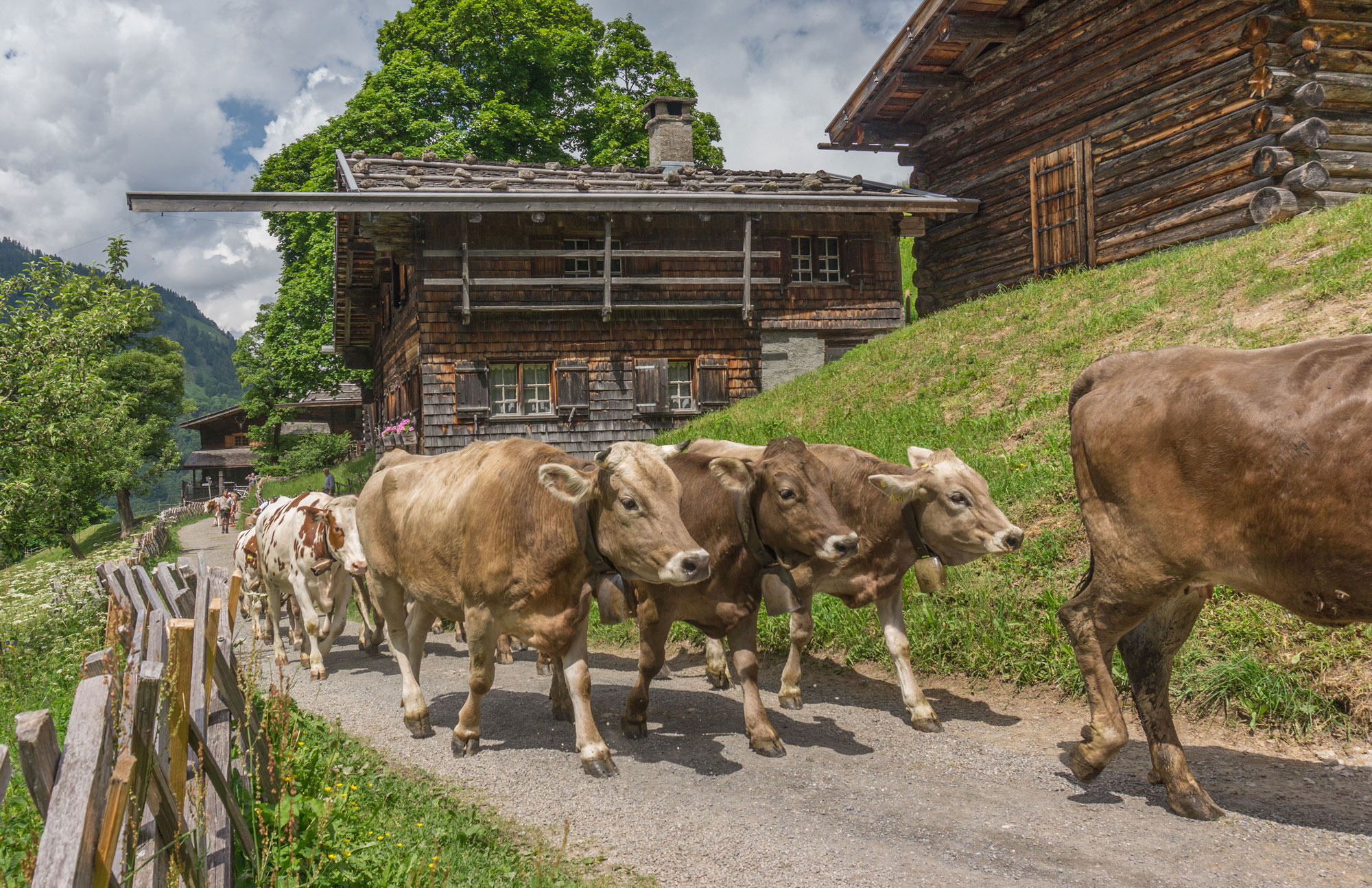 Alpe Dietersbach