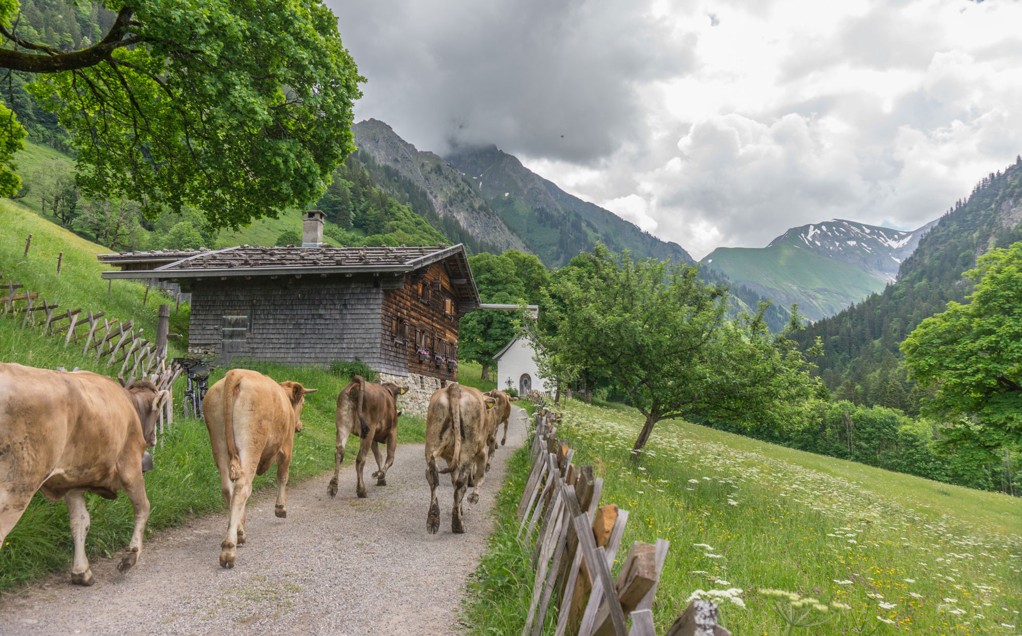 Alpe Dietersbach