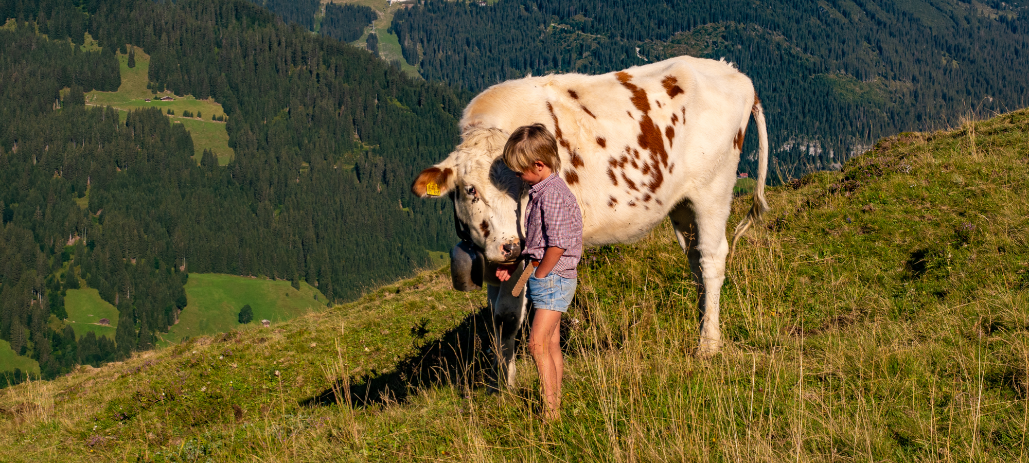 Alpe Kuhgehren