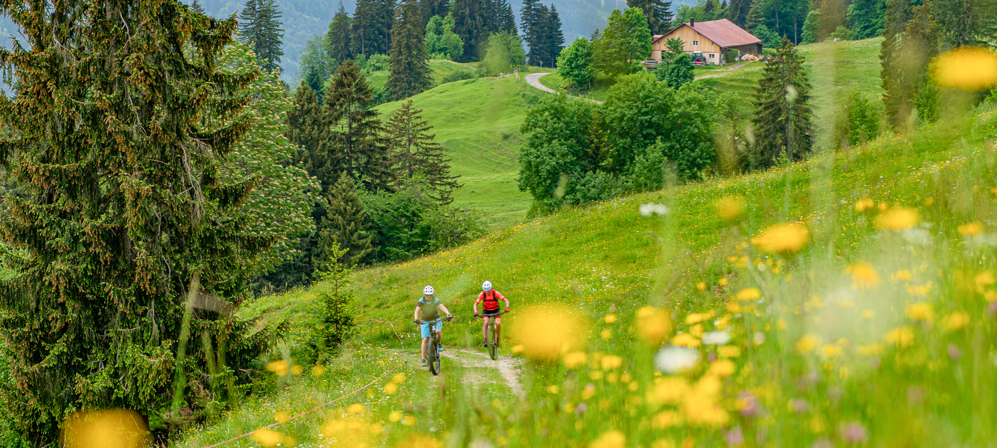 Naturbiken im Allgäu