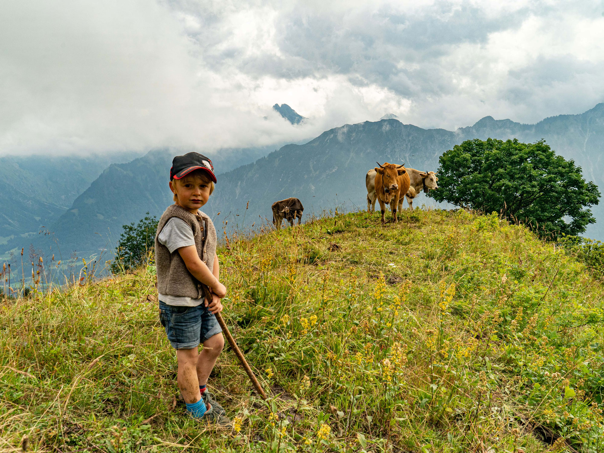 Sennalpe Sölleralp