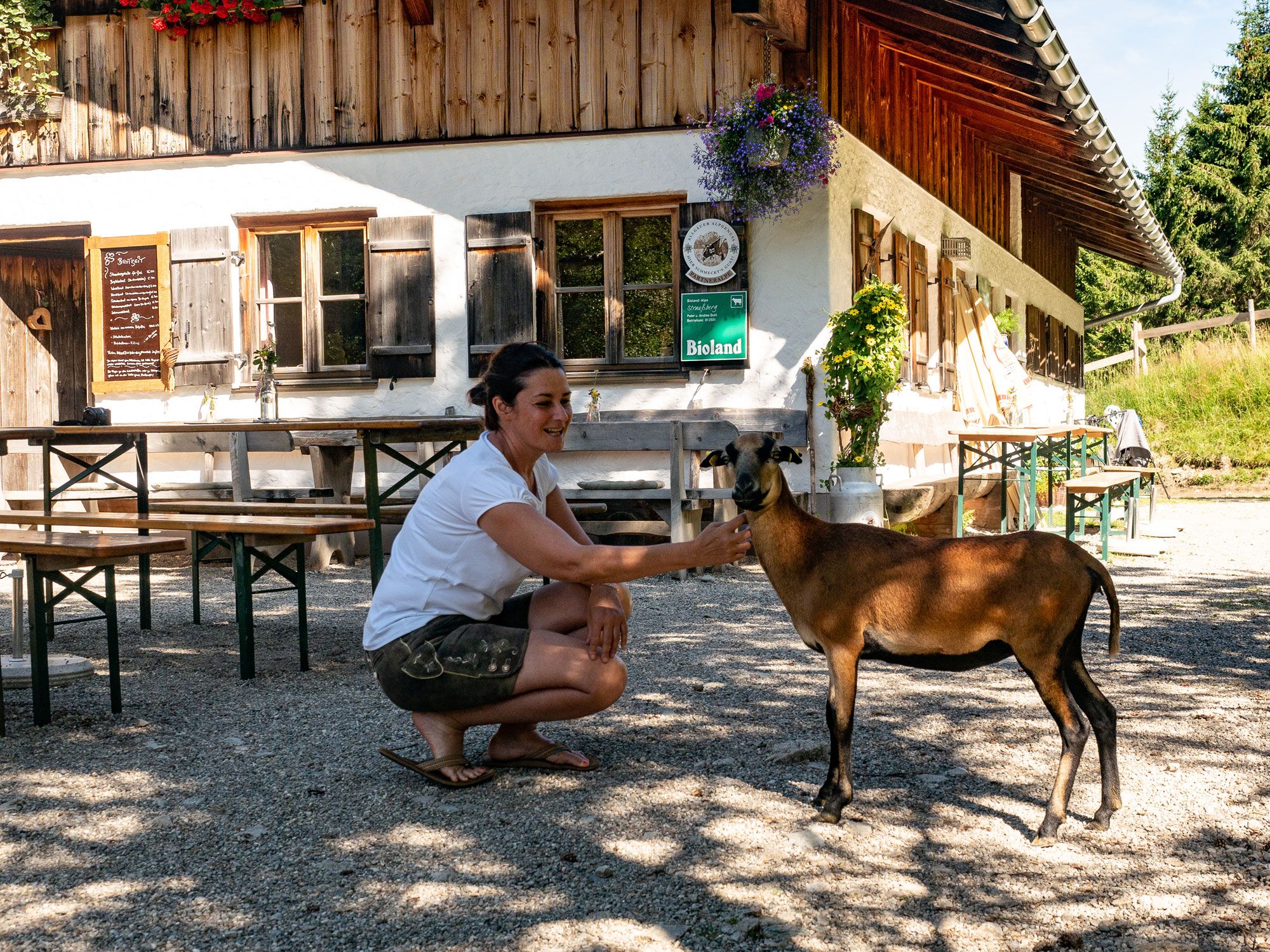 Alpbesuch Strausbergalpe