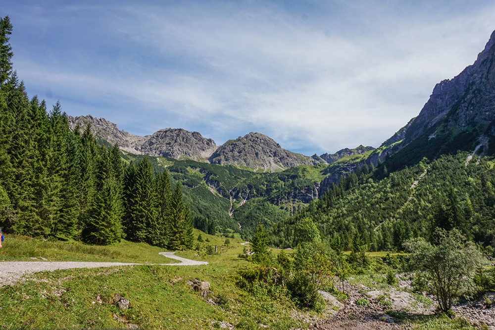 Wildental Bergschön