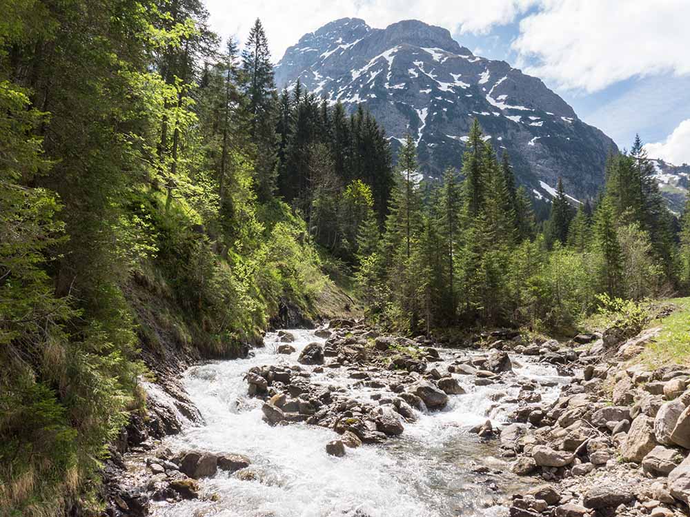 Frau Bergschön Oberallgäu Bärguntalpe Kleinwalsertal