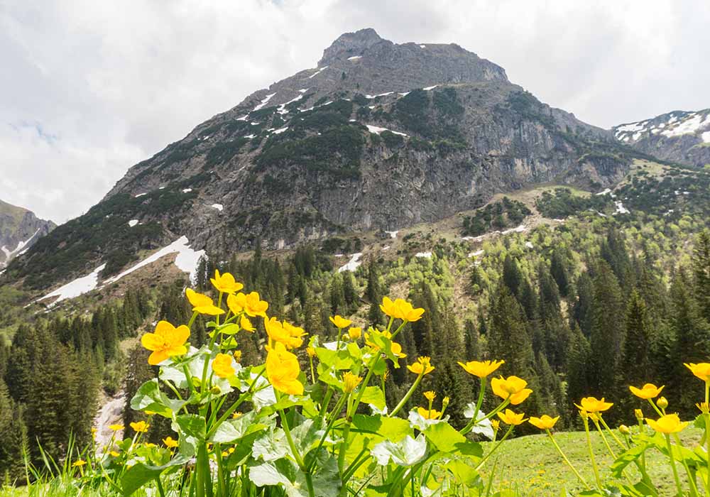 Frau Bergschön Oberallgäu Bärguntalpe Kleinwalsertal