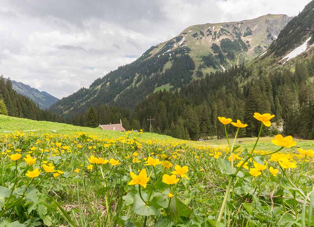 Frau Bergschön Oberallgäu Bärguntalpe Kleinwalsertal