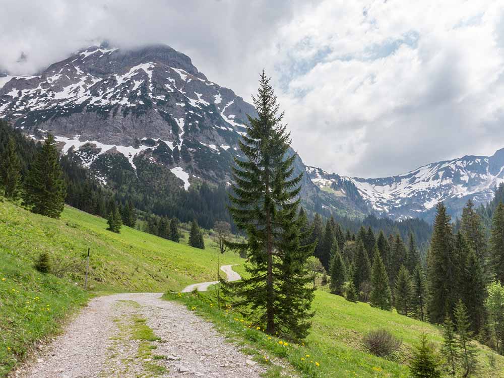 Frau Bergschön Oberallgäu Bärguntalpe Kleinwalsertal