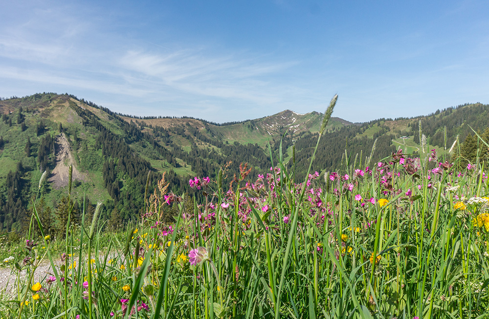 Frau Bergschön Oberallgäu Oberstdorf Bolsterlang