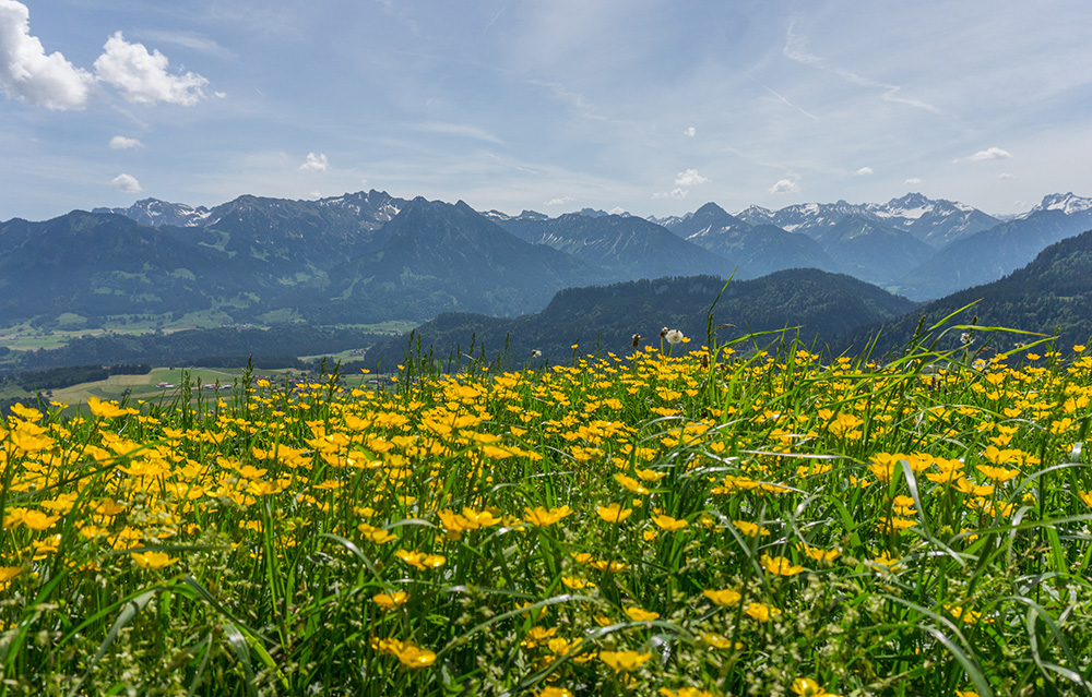 Frau Bergschön Oberallgäu Oberstdorf Bolsterlang