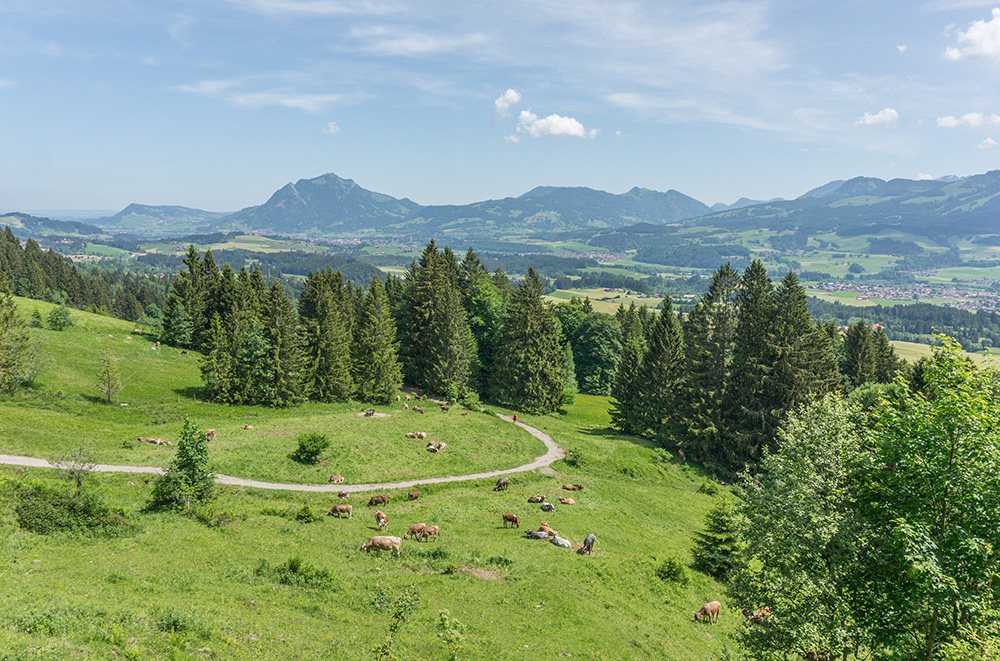 Frau Bergschön Oberallgäu Oberstdorf Bolsterlang