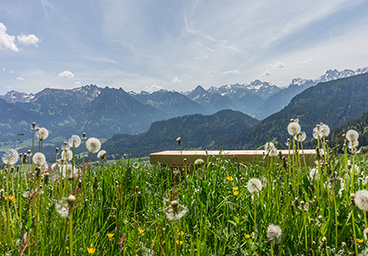Bergschön Oberallgäu Bolsterlang Frau Bergschön