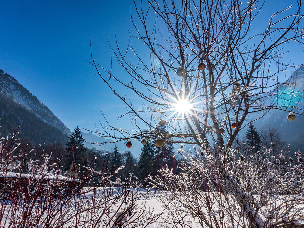 Frau Bergschön Christlessee Oberstdorf