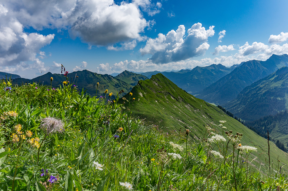 Frau Bergschön Kleinwalsertal Derratal Alpe Tour