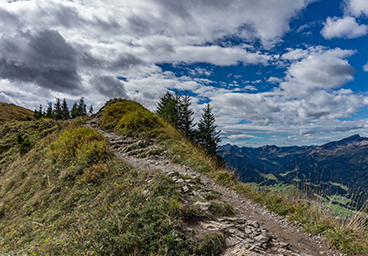 Bergschön Fellhorn