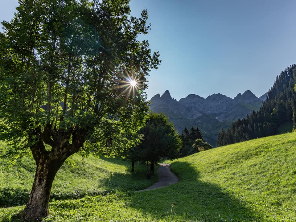 bergschön fraubergschön