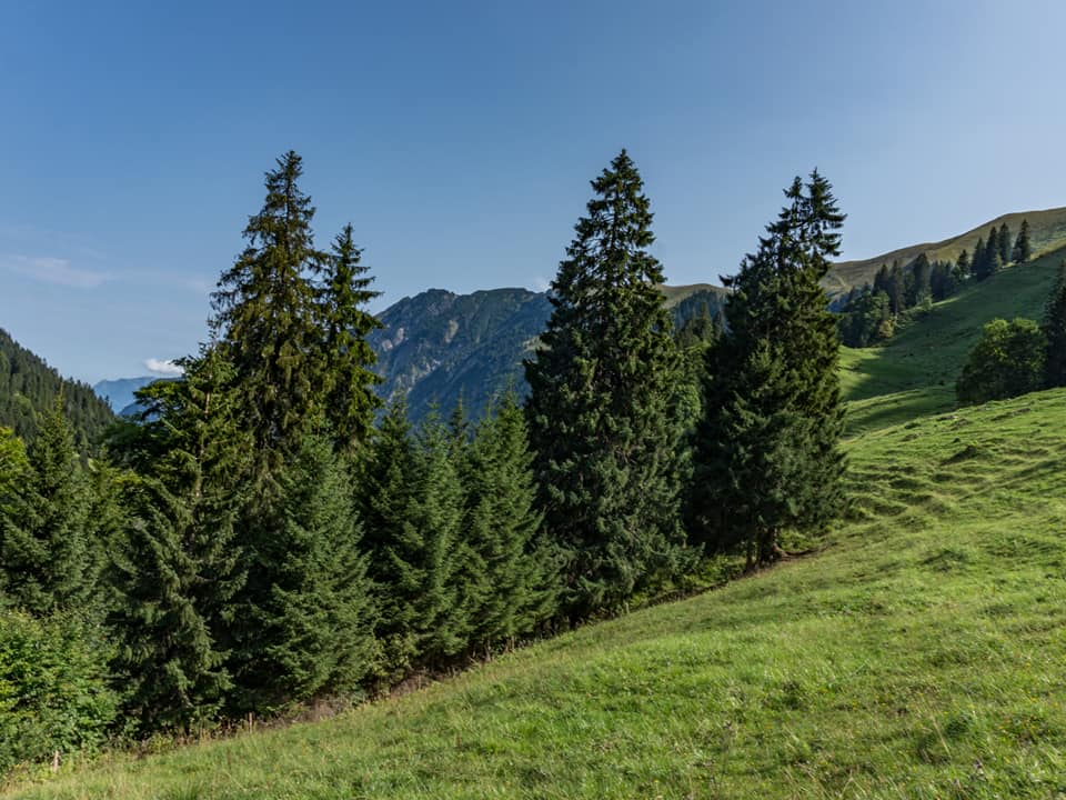 enzianhuette  bergschön fraubergschön