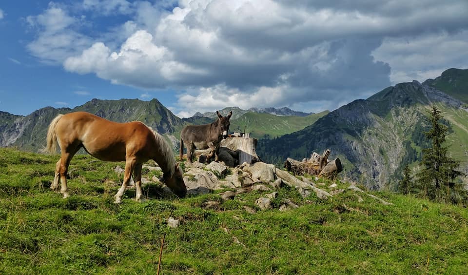 bergschön fraubergschön