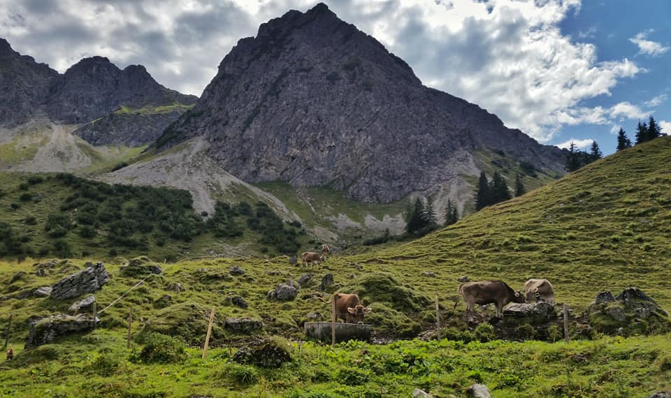 bergschön fraubergschön