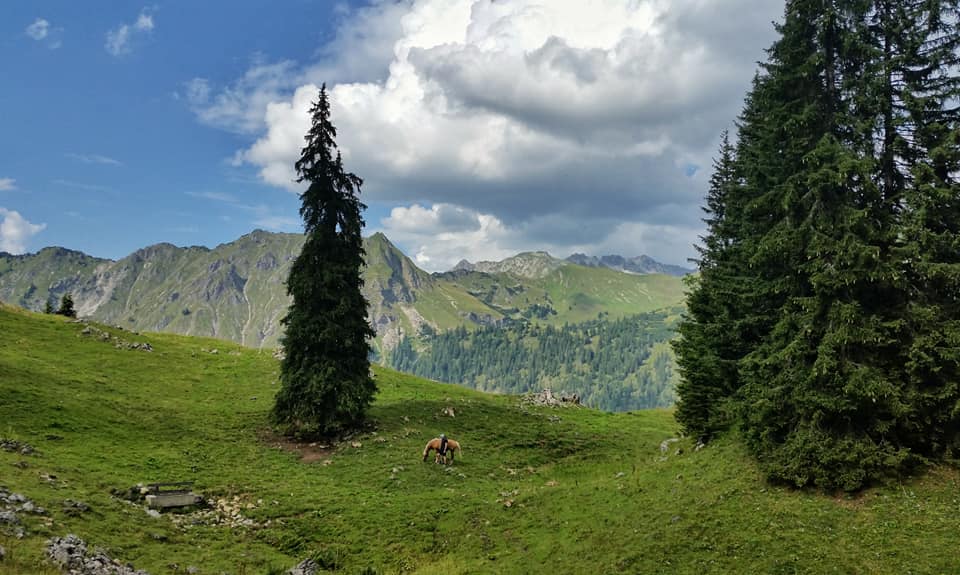 bergschön fraubergschön