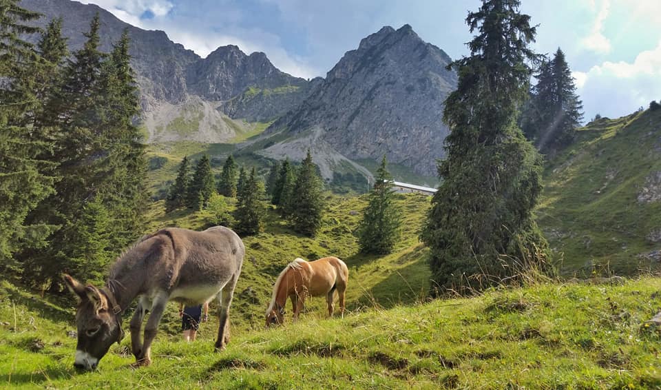 bergschön fraubergschön