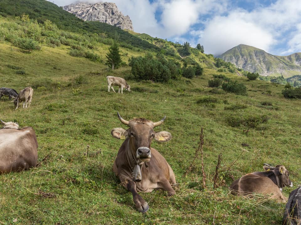 enzianhuette bergschön fraubergschön