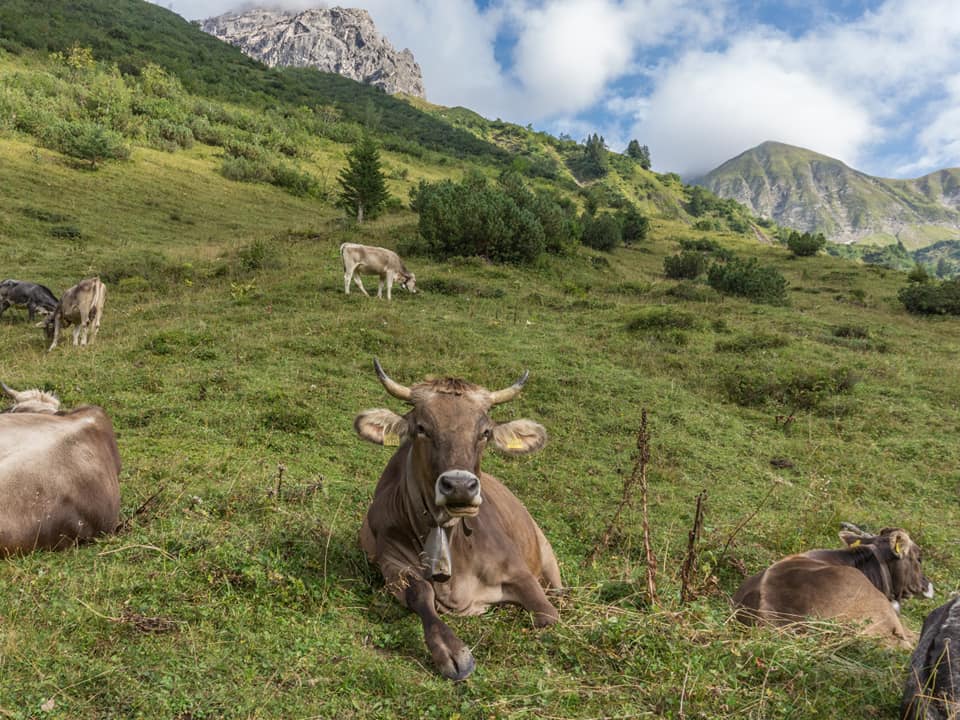 enzianhuette  bergschön fraubergschön