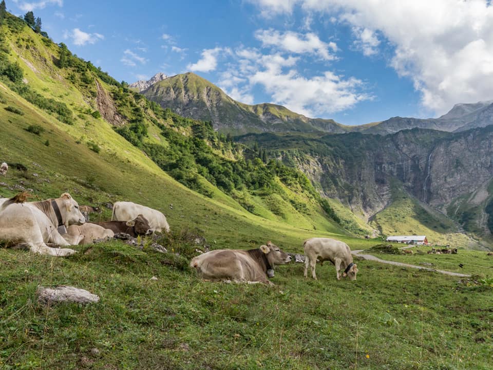 enzianhuette bergschön fraubergschön