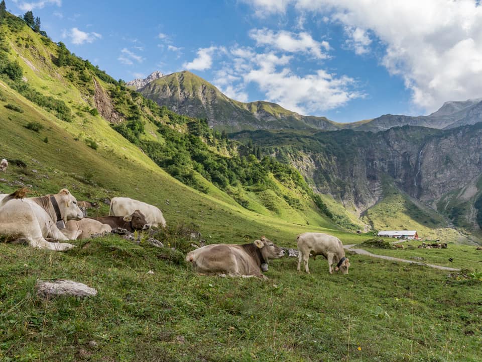 enzianhuette  bergschön fraubergschön