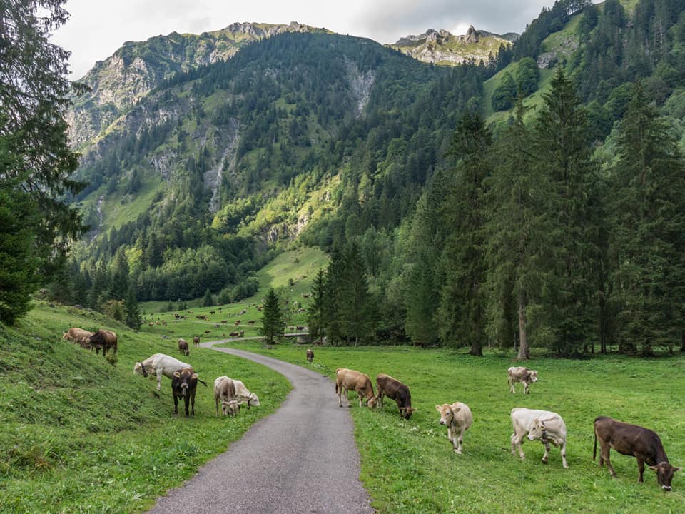 enzianhuette  bergschön fraubergschön