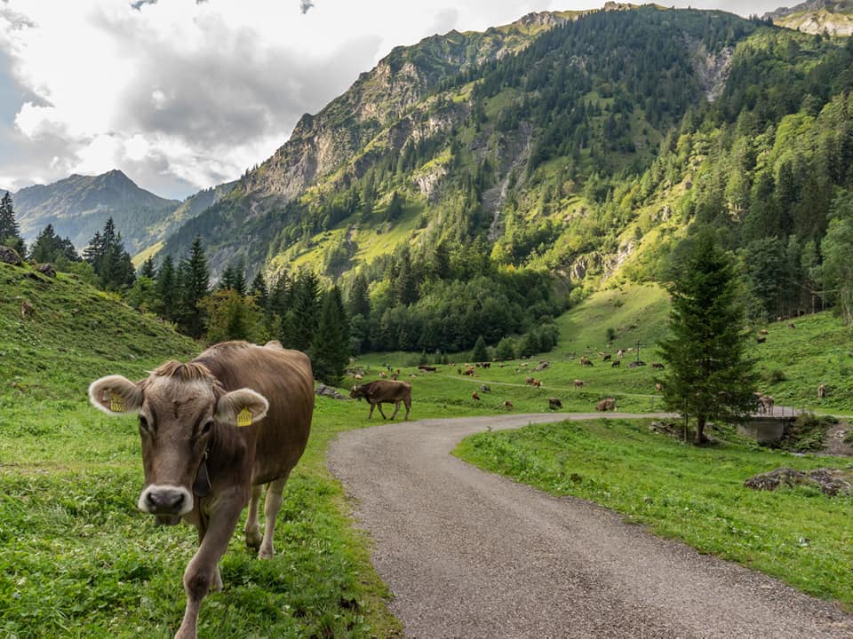 enzianhuette  bergschön fraubergschön