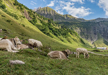 frau bergschön allgäu renzienhuette