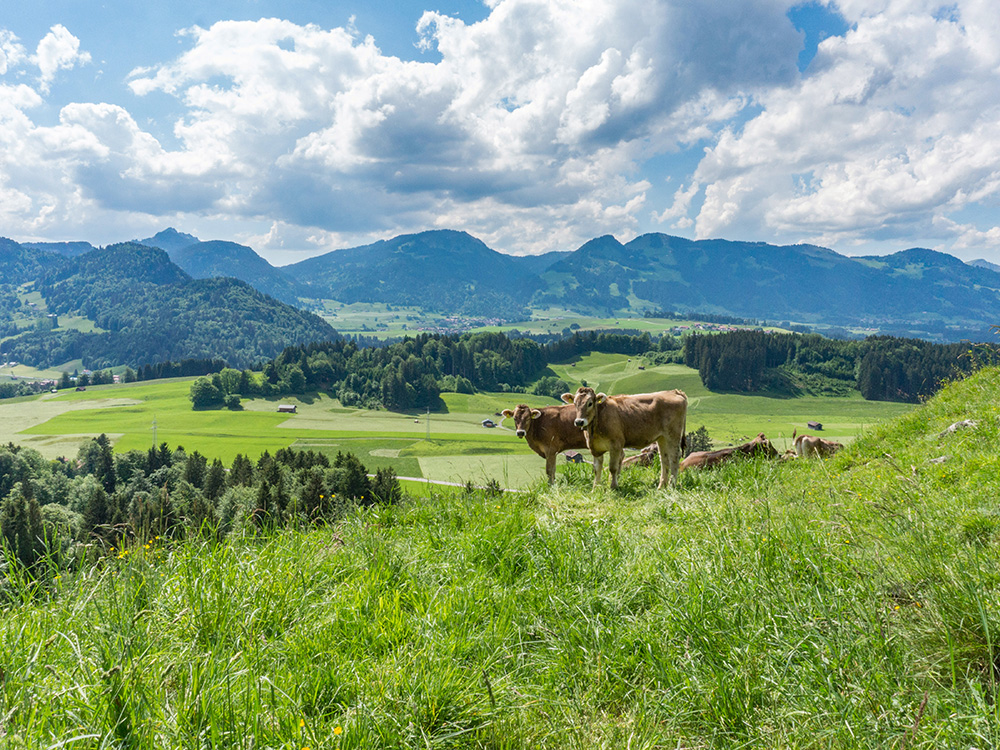 Frau Bergschön Gaisalpsee Mädelstour