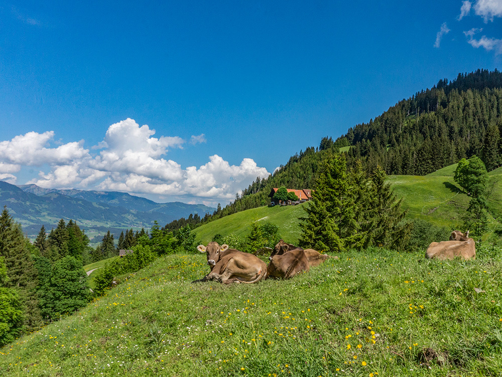 Frau Bergschön Gaisalpsee Mädelstour