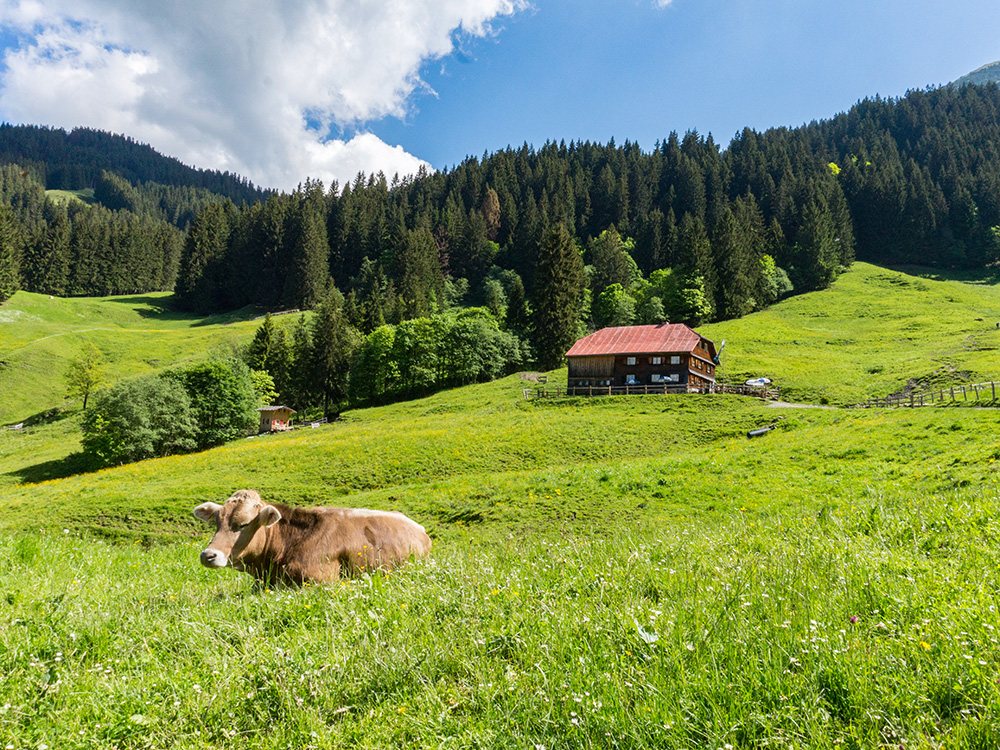 Frau Bergschön Gaisalpsee Mädelstour