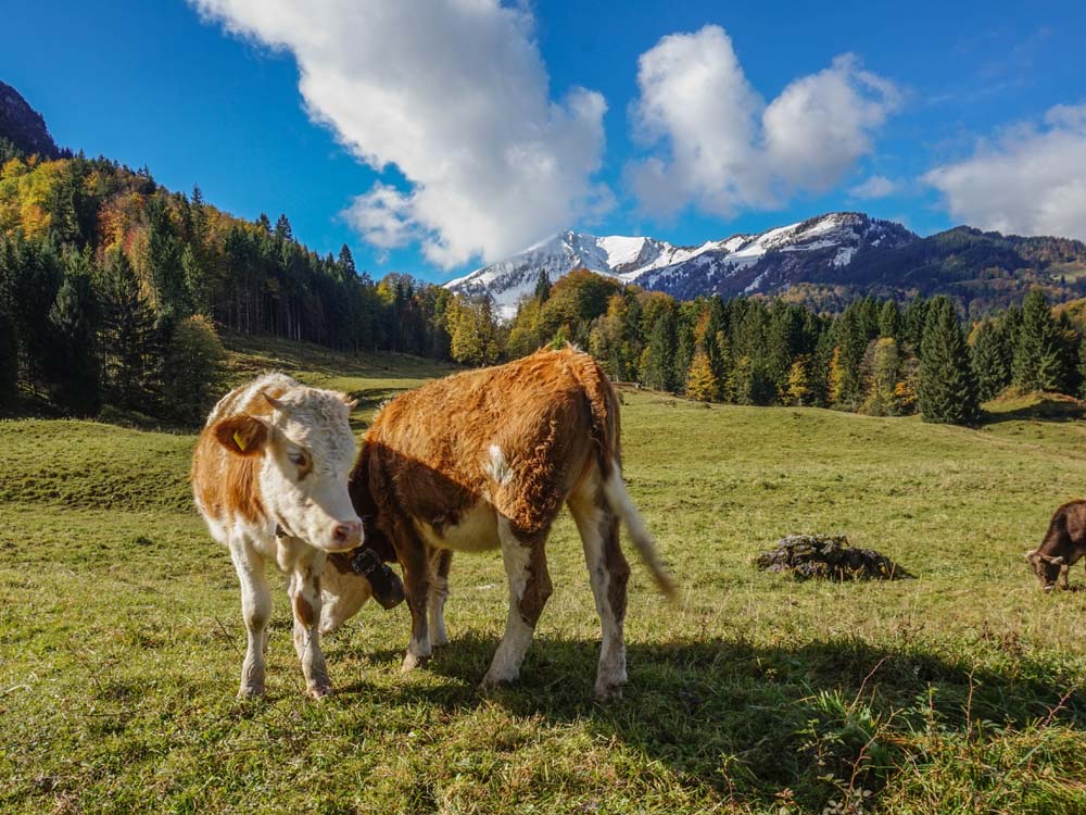 Gerstruben Dietersbachalpe Oberstdorf