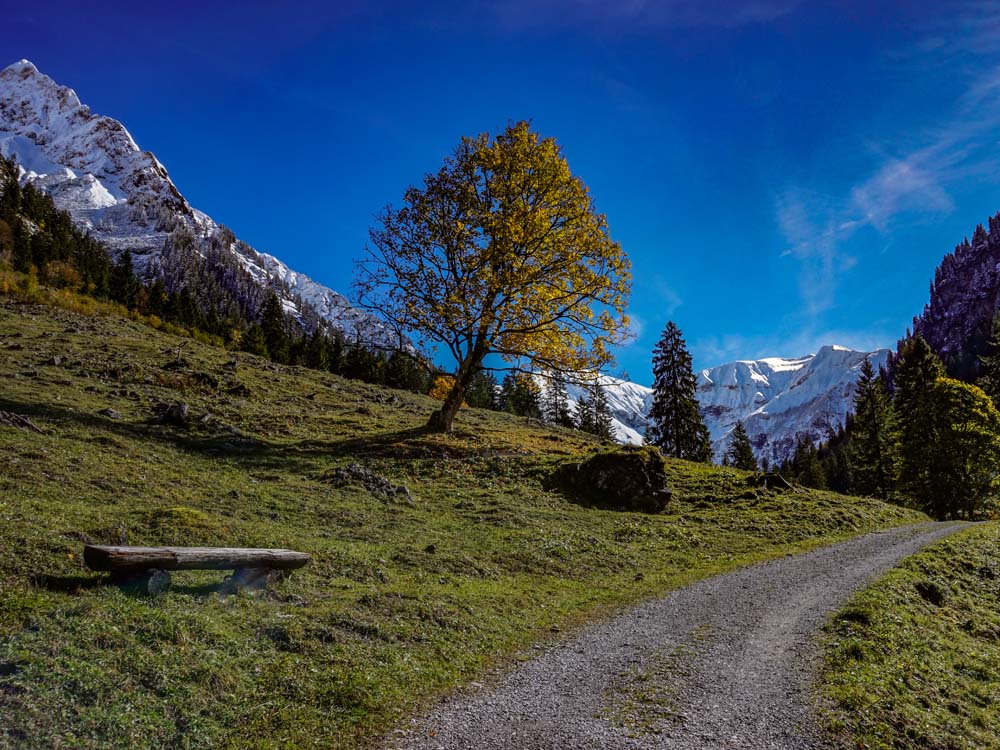 Gerstruben Dietersbachalpe Oberstdorf