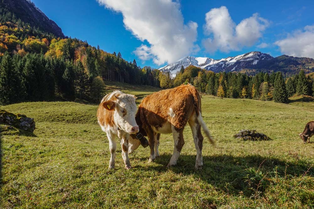 gerstruben dietersbachalpe bergschön frau bergschön