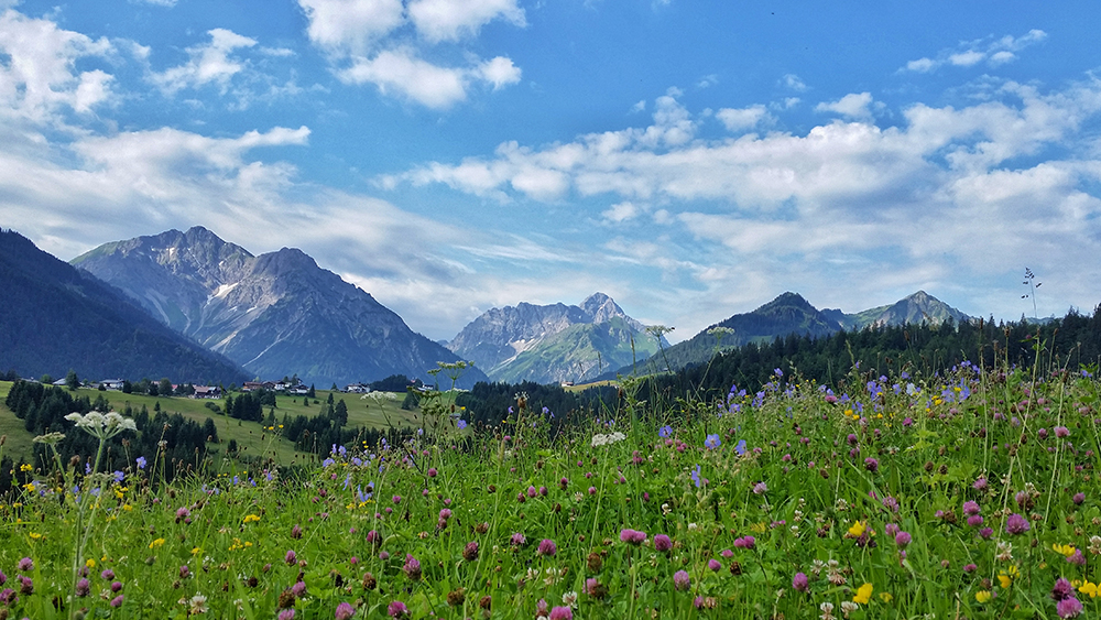 Frau Bergschön Kleinwalsertal Gottesacker Platteau Bergwanderung Ausblick