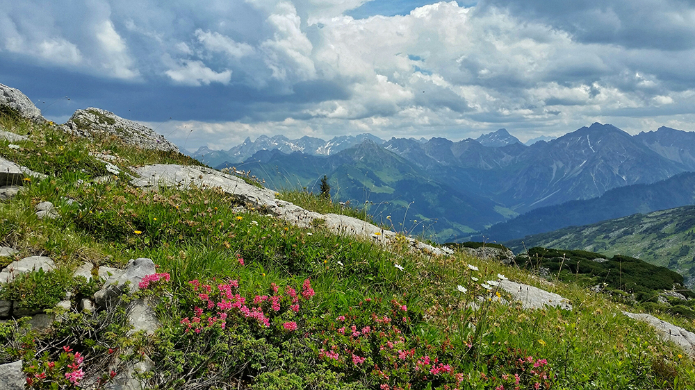 Frau Bergschön Kleinwalsertal Gottesacker Platteau Bergwanderung Ausblick