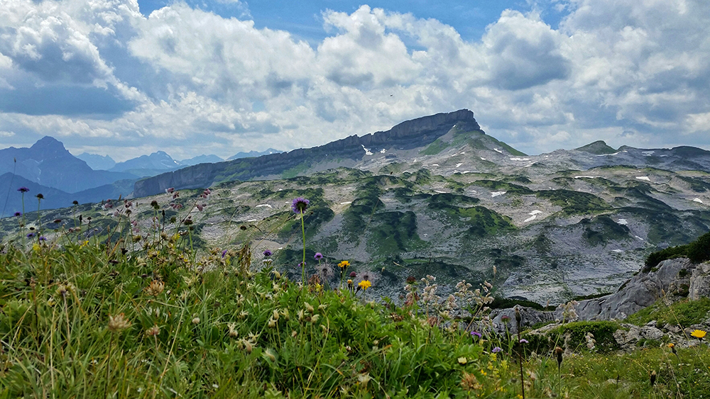 Frau Bergschön Kleinwalsertal Gottesacker Platteau Bergwanderung Ausblick