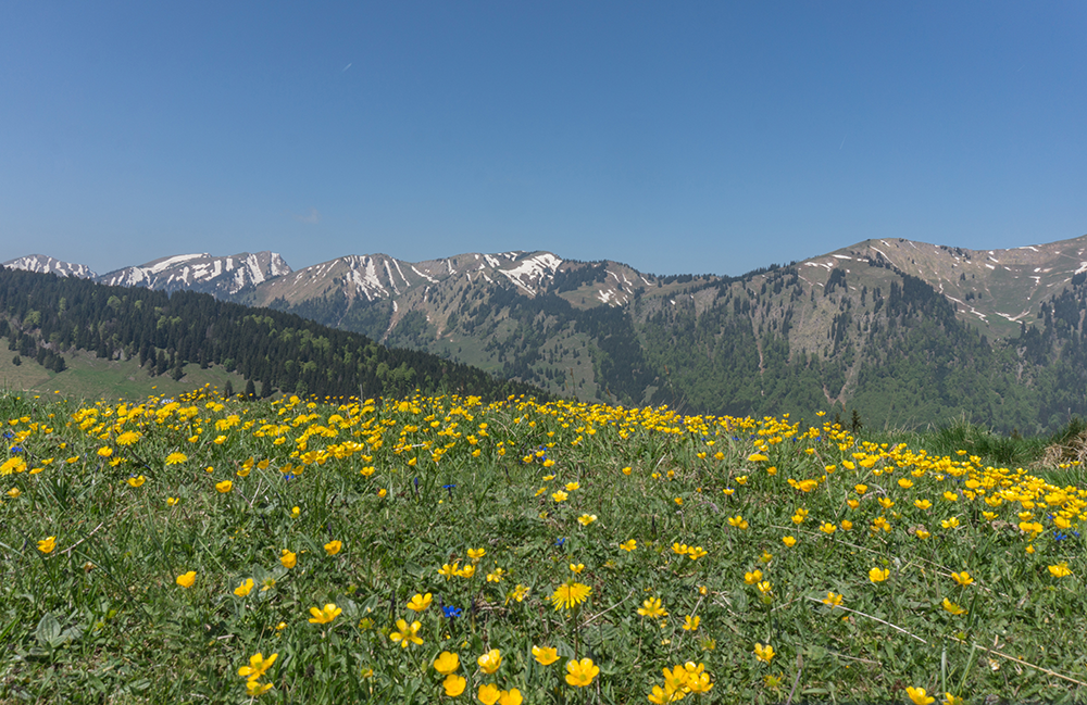 gunzesriedertal bergschön fraubergschön
