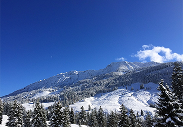 Bergschön Oberallgäu Mountainbike Ski Oberjoch