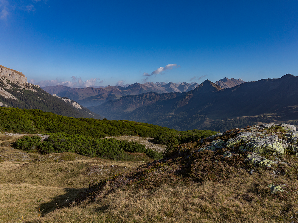 Ifersguntalpe Kleinwalsertal Frau Bergschön