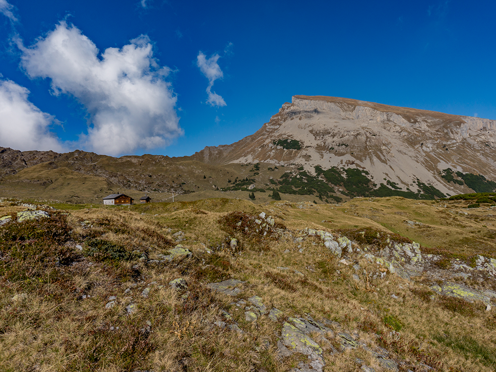 Ifersguntalpe Kleinwalsertal Frau Bergschön