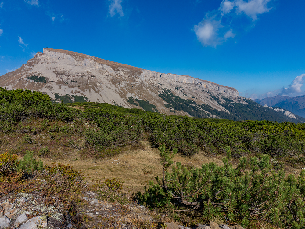 Ifersguntalpe Kleinwalsertal Frau Bergschön