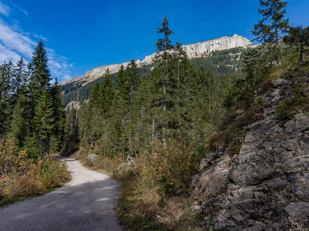 Ifersguntalpe Kleinwalsertal Frau Bergschön