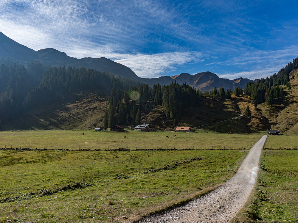 Ifersguntalpe Kleinwalsertal Frau Bergschön