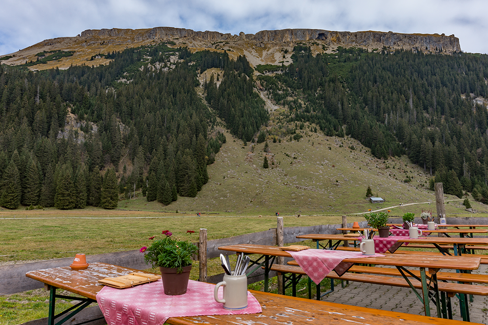 Ifersguntalpe Kleinwalsertal Frau Bergschön