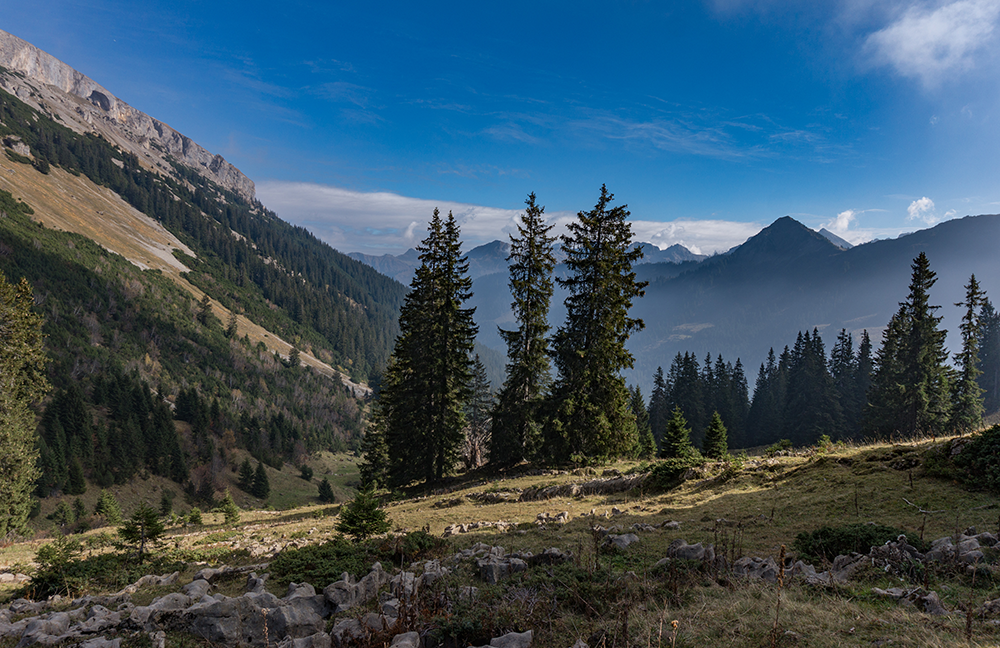 Ifersguntalpe Kleinwalsertal Frau Bergschön