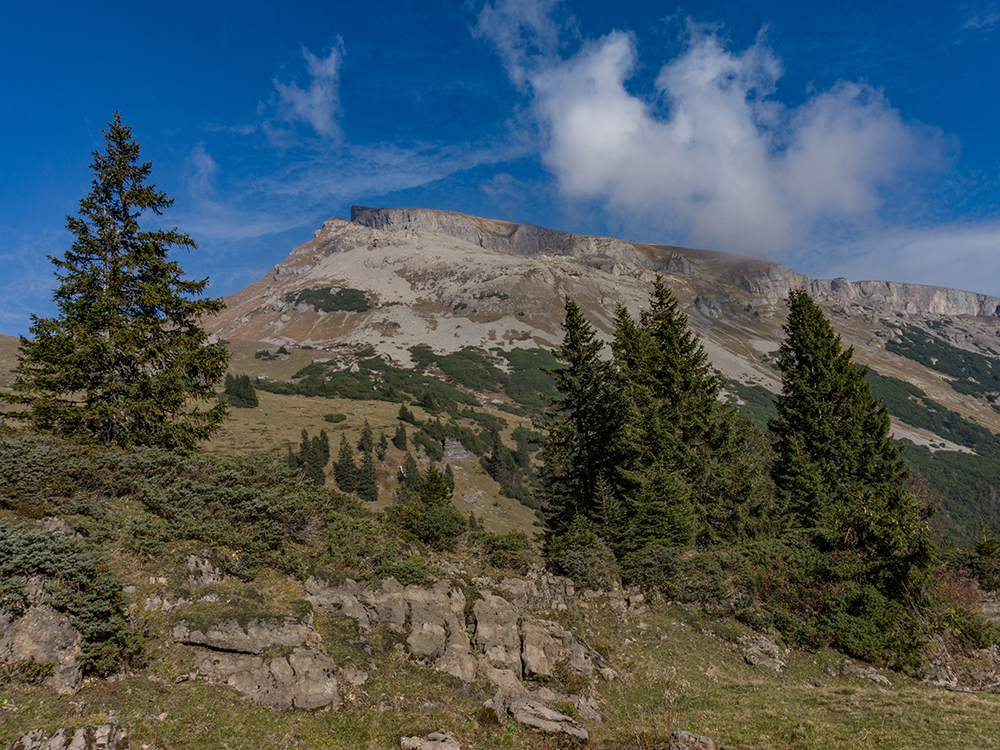 Ifersguntalpe Kleinwalsertal Frau Bergschön